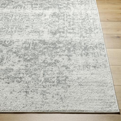 Surya Harput HAP-1024 3'11" x 5'7" Rug