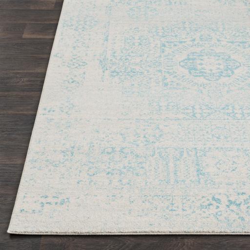 Surya Harput HAP-1026 2'7" x 7'3" Rug