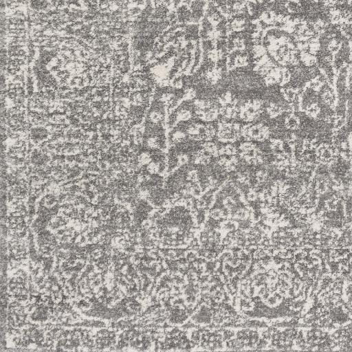 Surya Harput HAP-1029 6'7" x 9' Rug