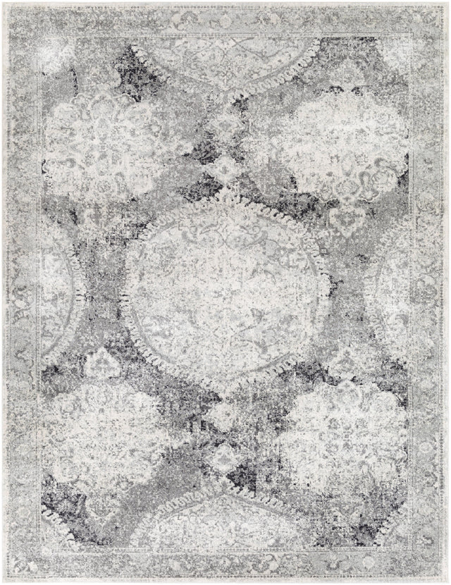 Surya Harput HAP-1041 3'11" x 5'7" Rug