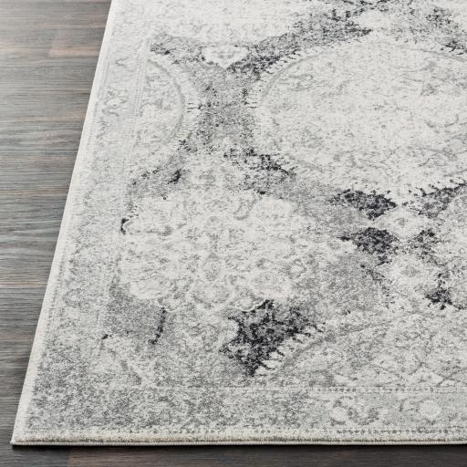 Surya Harput HAP-1041 3'11" x 5'7" Rug