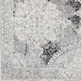 Surya Harput HAP-1041 3'11" x 5'7" Rug