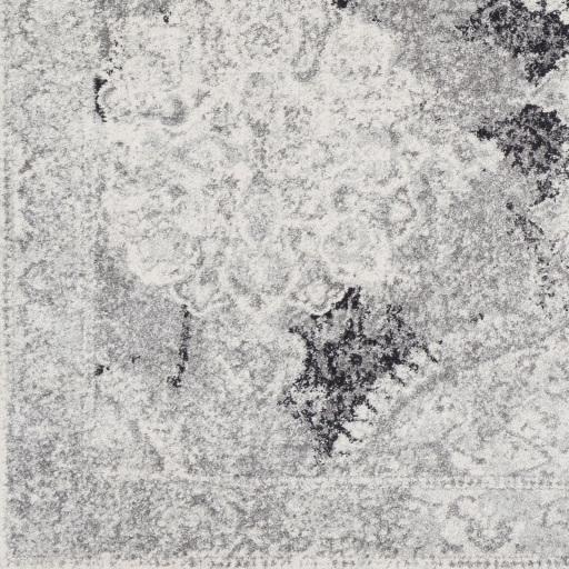 Surya Harput HAP-1041 5'3" x 7'3" Rug