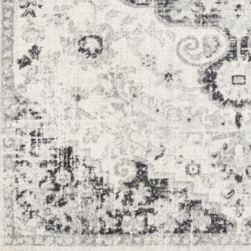 Surya Harput HAP-1061 2' x 2'11" Rug