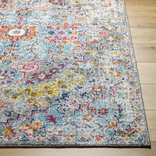 Surya Harput HAP-1063 Burgundy Burnt Orange 3'11" x 5'7" Rug