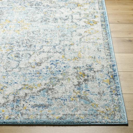 Surya Harput HAP-1065 Charcoal Light Beige 2' x 2'11" Rug