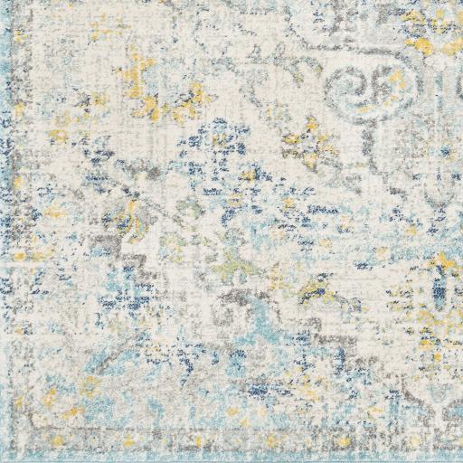 Surya Harput HAP-1065 2'7" x 7'3" Rug
