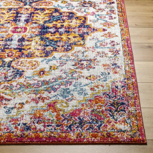 Surya Harput HAP-1066 Burgundy Burnt Orange 3'11" x 5'7" Rug