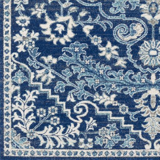 Surya Harput HAP-1068 8'10" x 12'6" Rug
