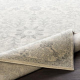 Surya Harput HAP-1069 3'11" x 5'7" Rug