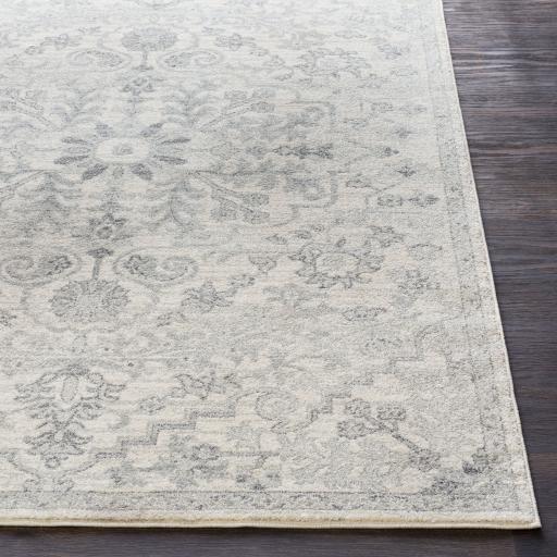 Surya Harput HAP-1069 Charcoal Light Beige 7'10" x 10'2" Rug