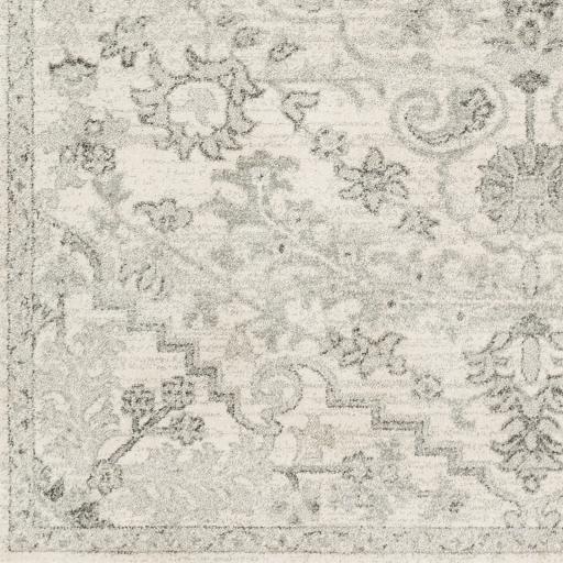 Surya Harput HAP-1069 7'10" x 10'2" Rug