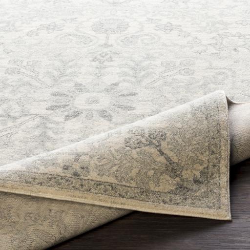 Surya Harput HAP-1069 8'10" x 12'6" Rug