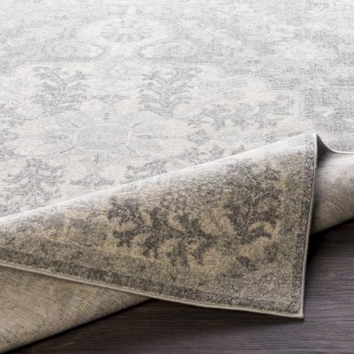Surya Harput HAP-1070 2' x 2'11" Rug