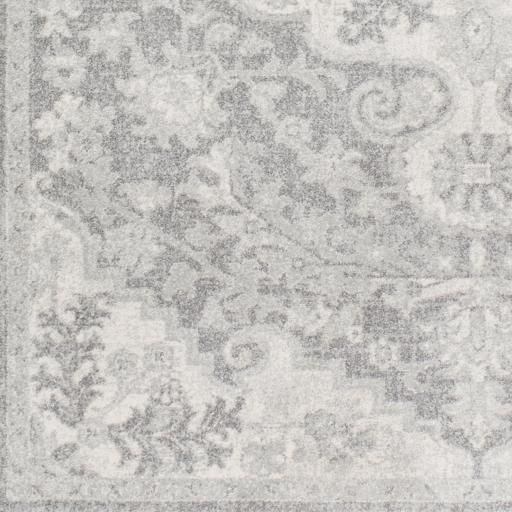 Surya Harput HAP-1070 5'3" x 7'3" Rug