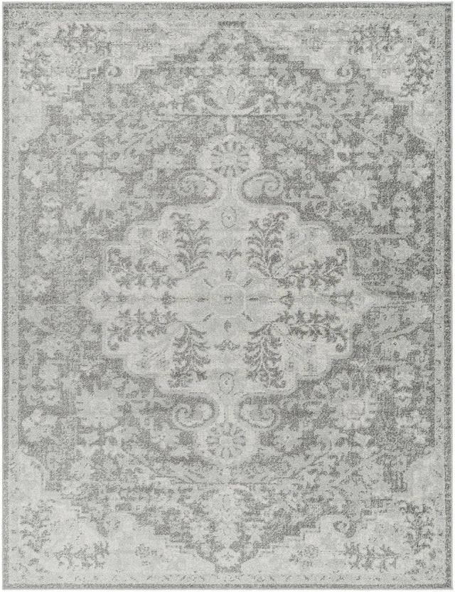 Surya Harput HAP-1071 3'11" x 5'7" Rug
