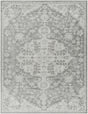 Surya Harput HAP-1071 3'11" x 5'7" Rug