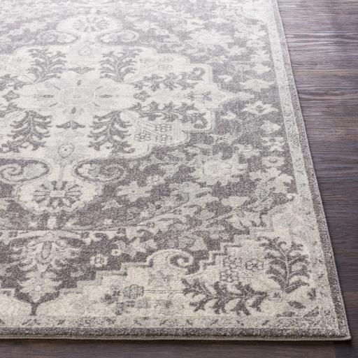 Surya Harput HAP-1071 3'11" x 5'7" Rug
