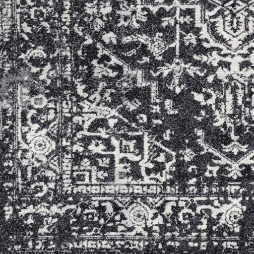 Surya Harput HAP-1087 2'7" x 7'3" Rug