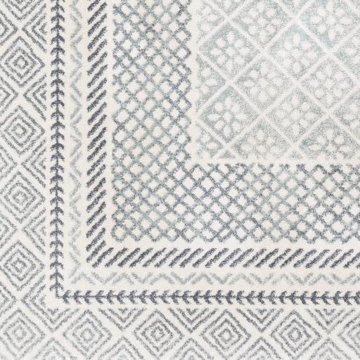 Surya Harput HAP-1088 2' x 3' Rug