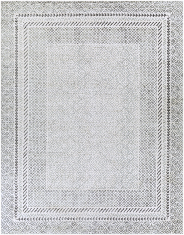 Surya Harput HAP-1088 2'7" x 7'3" Rug