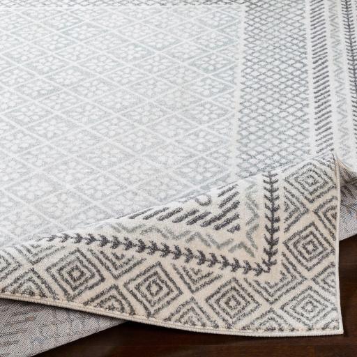 Surya Harput HAP-1088 2'7" x 7'3" Rug
