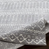 Surya Harput HAP-1096 2' x 3' Rug