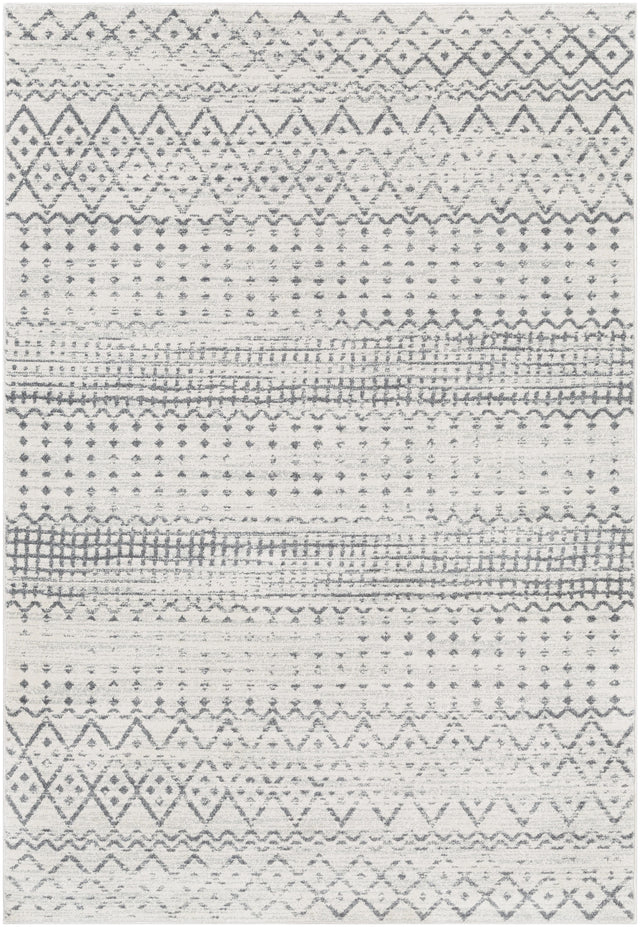 Surya Harput HAP-1097 2'7" x 7'3" Rug