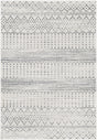 Surya Harput HAP-1097 2'7" x 7'3" Rug