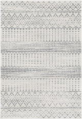 Surya Harput HAP-1097 2'7" x 7'3" Rug