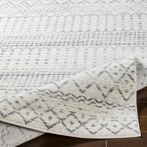 Surya Harput HAP-1097 2'7" x 7'3" Rug