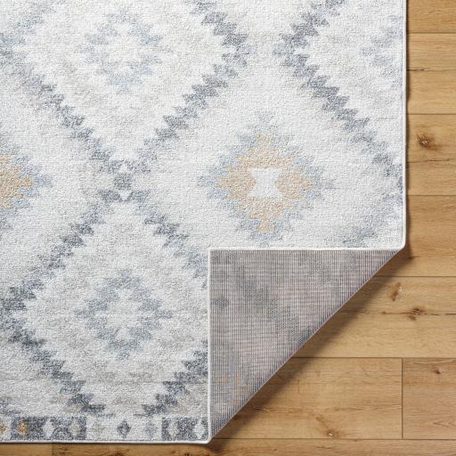 Surya Harput HAP-1166 8'10" x 12'6" Rug