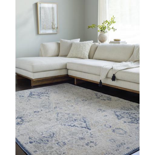 Surya Harput HAP-1169 8'10" x 12'6" Rug
