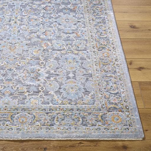 Surya Hassler HSL-2304 10' x 13'11" Rug