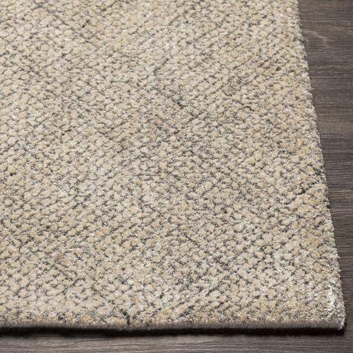Surya Helen HLE-2302 Gray Light Beige 2' x 3' Rug