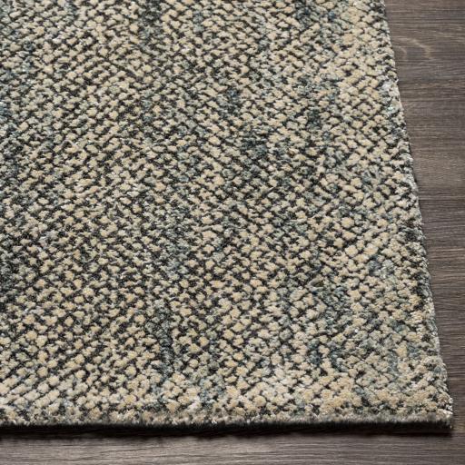 Surya Helen HLE-2303 Charcoal Light Beige 5' x 7'6" Rug