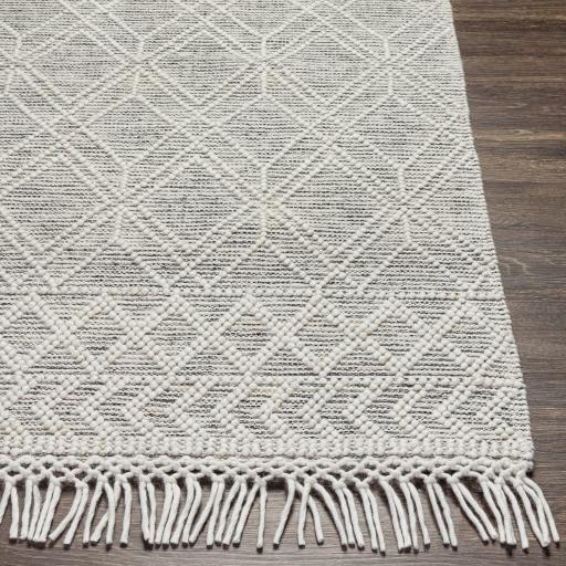 Surya Hemingway HMG-2300 2' x 3' Rug