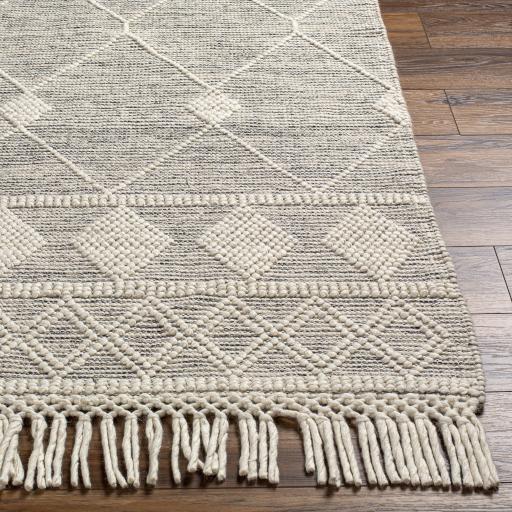 Surya Hemingway HMG-2301 27" x 45" Rug