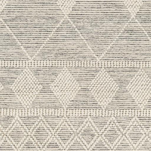 Surya Hemingway HMG-2301 27" x 45" Rug