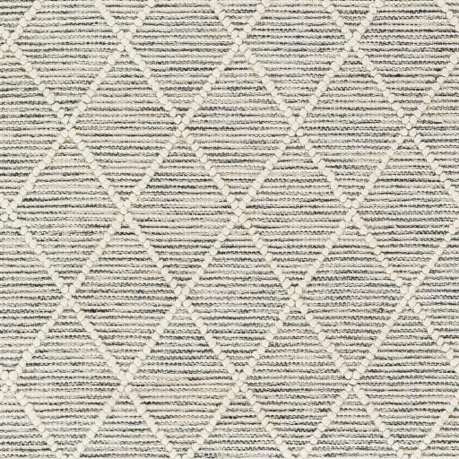 Surya Hemingway HMG-2302 5' x 8' Rug