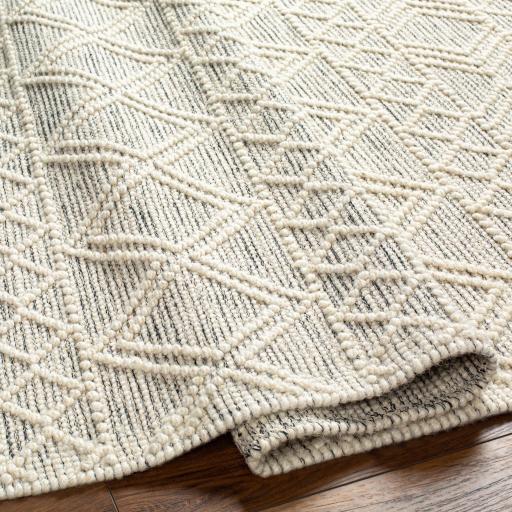 Surya Hemingway HMG-2303 5' x 8' Rug