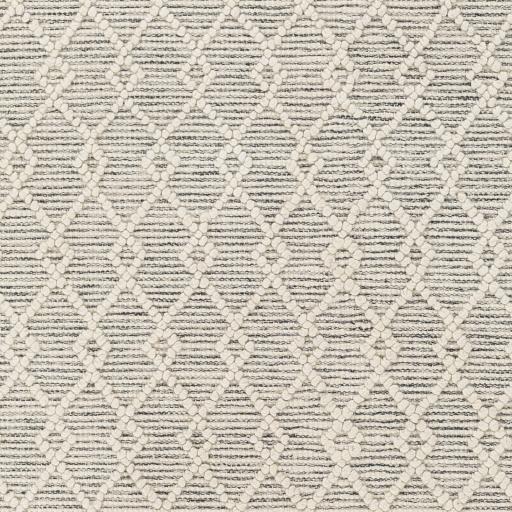 Surya Hemingway HMG-2304 5' Round Rug