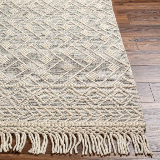 Surya Hemingway HMG-2305 2' x 5' Rug