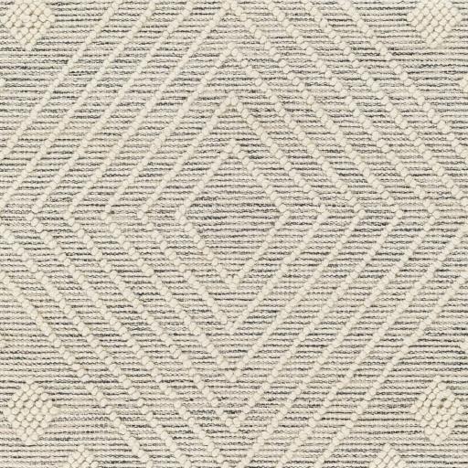 Surya Hemingway HMG-2306 2'3" x 3'9" Rug