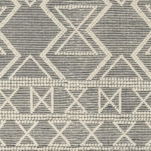 Surya Hemingway HMG-2307 2'3" x 3'9" Rug