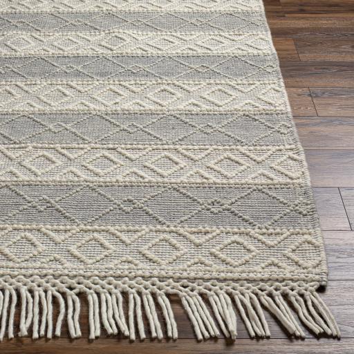 Surya Hemingway HMG-2308 2'3" x 3'9" Rug