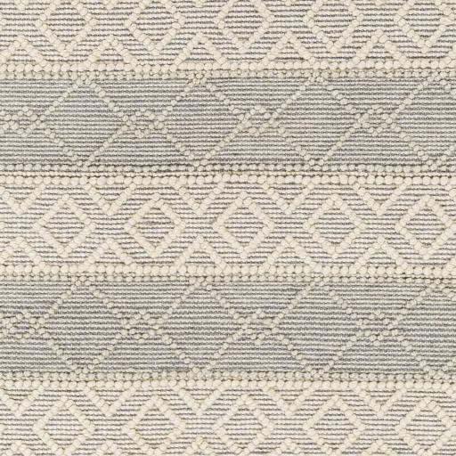 Surya Hemingway HMG-2308 2'3" x 3'9" Rug
