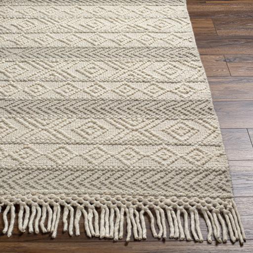 Surya Hemingway HMG-2309 Beige Ivory 2' x 5' Rug