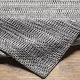 Surya Hickory HCK-2303 2' x 3' Rug