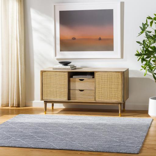 Surya Highland HHD-2301 2' x 3' Rug